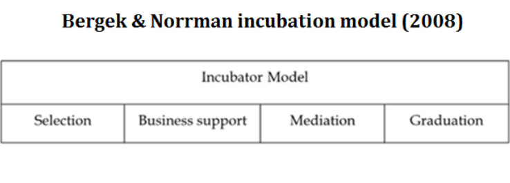 Bergek and Norrman Incubation Model