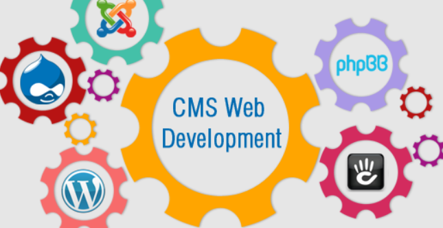 CMS Website Development