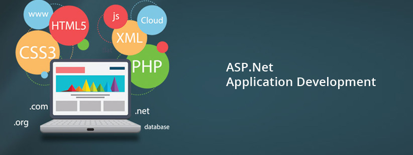 NET Web Application Development