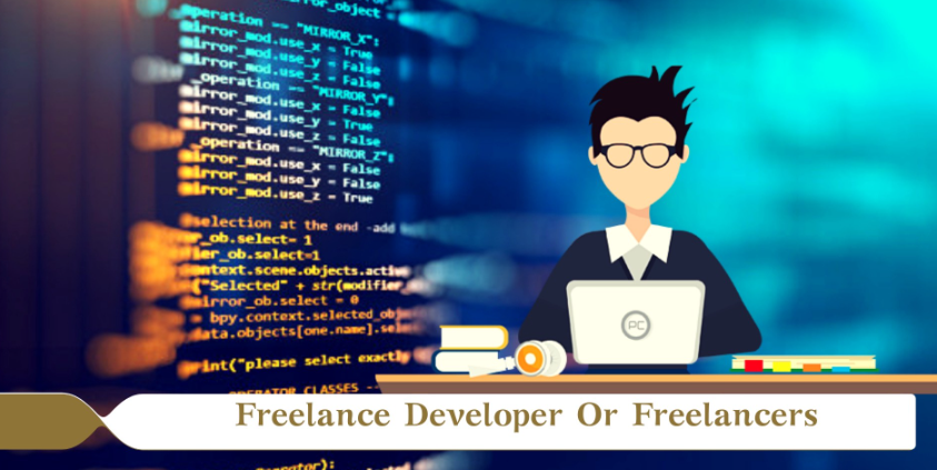 Freelance Angular Developer