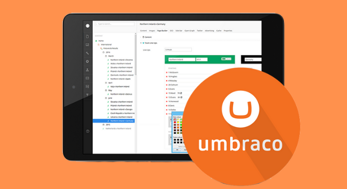 What Is Umbraco Used for