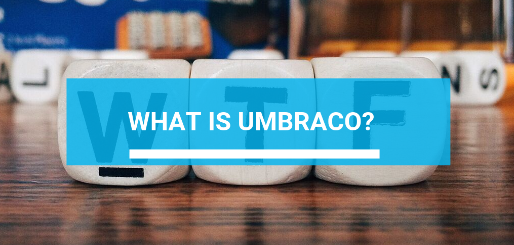 What Is Umbraco