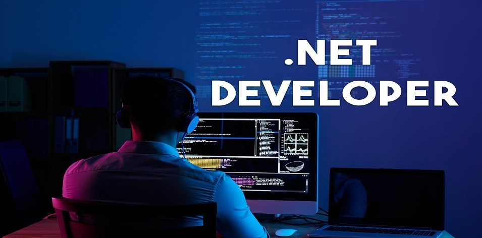  .NET Developer's Skills