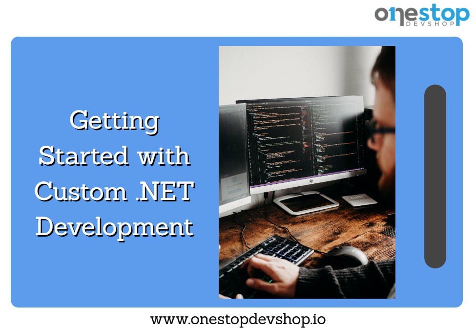 custom net development